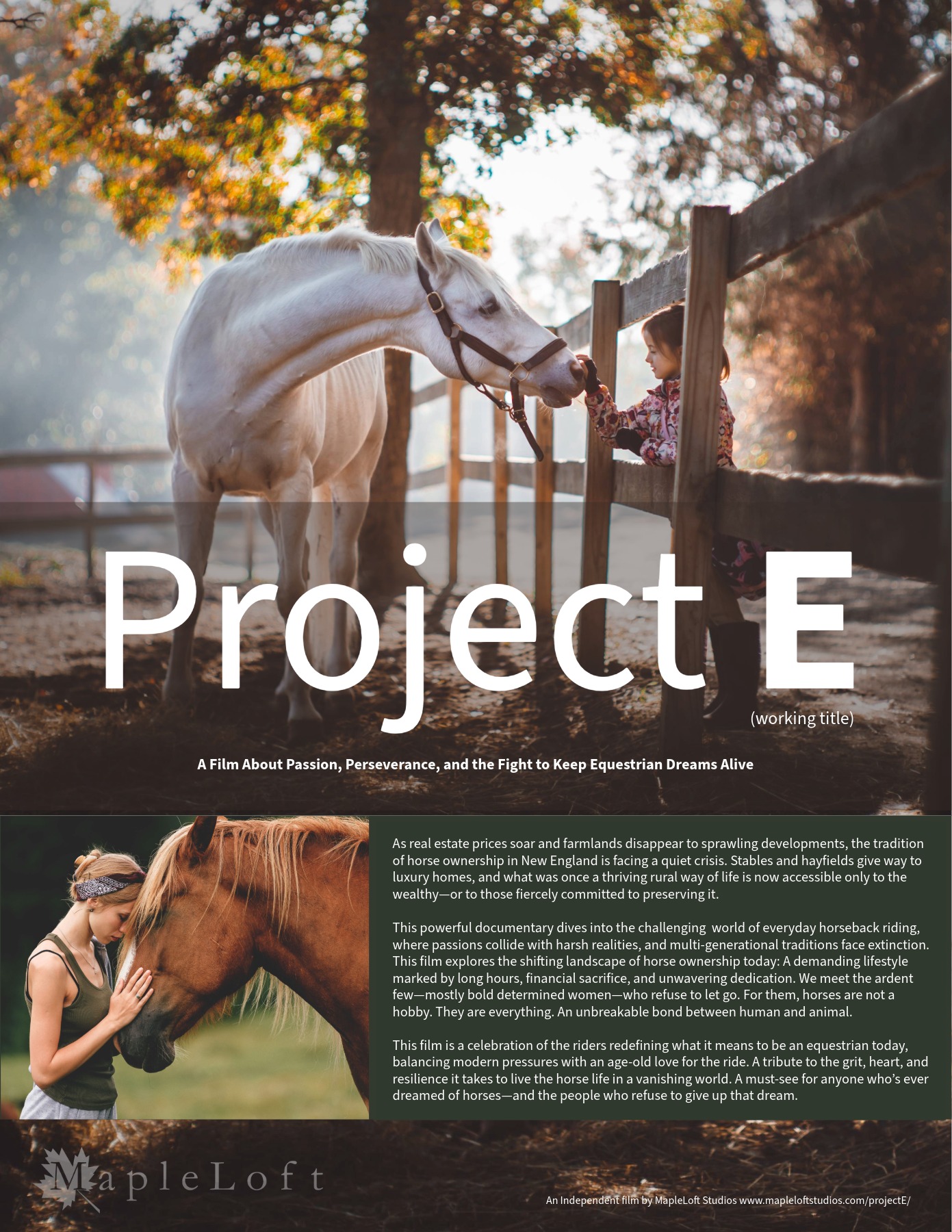 Project_E